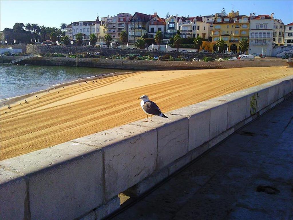 Casa Buganvilia Cascais Kültér fotó